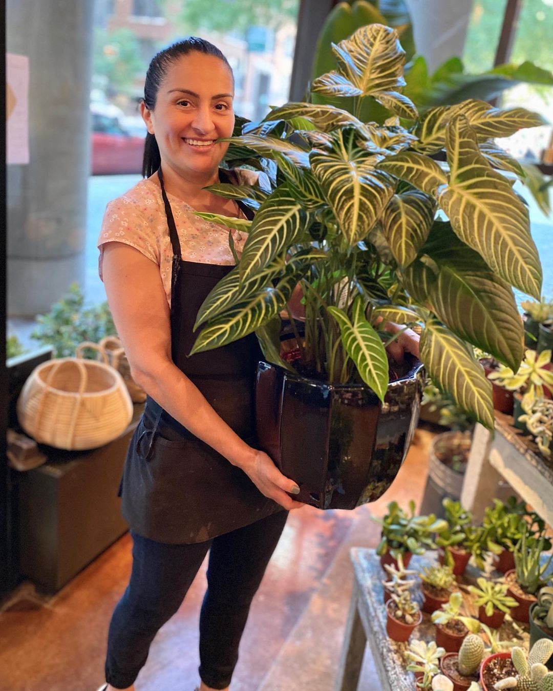 Aqua at Lakeshore East - Plant