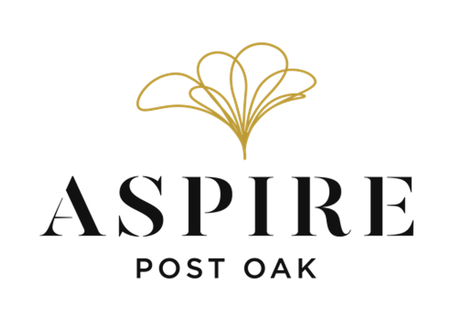  Aspire Post Oak