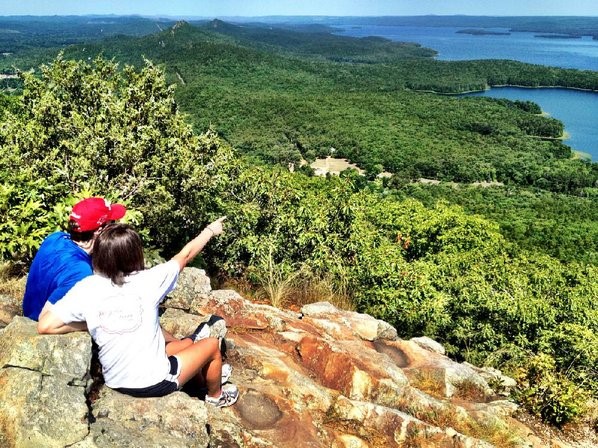 Vegetation, Wilderness, Nature