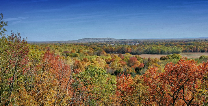 Scenery, Plant, Land