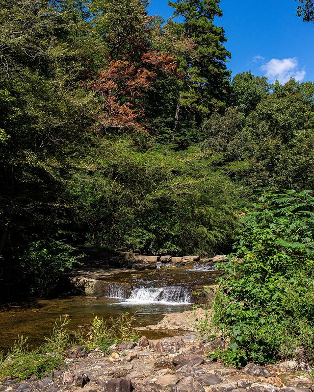 Bowman Pointe - Creek